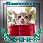 Blechminna