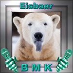 Eisbaer